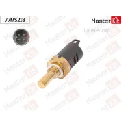 ������, ����������� �� 77MS218 ����