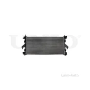 �������� ���������� ��������� Peugeot Boxer III 06-, Citroen Jumper III 06-, Fiat Ducato (250) 06- RAD10075 ����