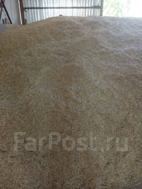 ����. ����