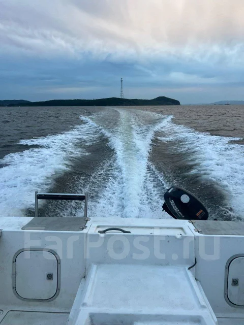Bayliner. 1992 ���, ����� 7��., ��������� ������������, 230��.�., ������ ����