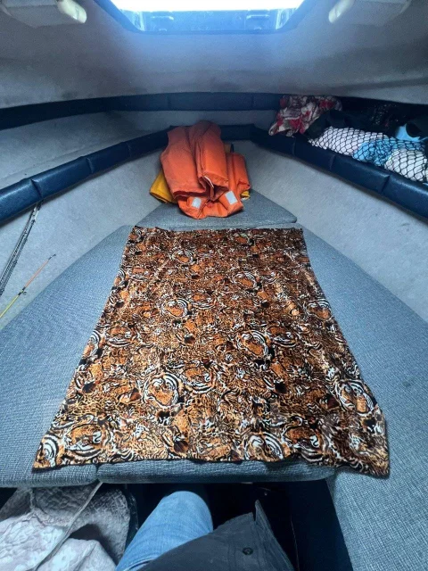Bayliner. 1992 ���, ����� 7��., ��������� ������������, 230��.�., ������ ����