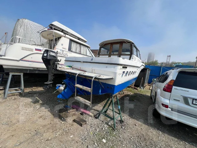 Bayliner. 1992 ���, ����� 7��., ��������� ������������, 230��.�., ������ ����