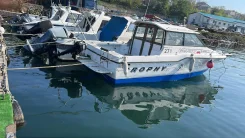 Bayliner. 1992 ���, ����� 7��., ��������� ������������, 230��.�., ������ ����