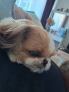 ��-���. ����