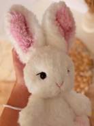 ������� ������ ������� ����