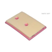 ������ ��������� RAF Filter AF094 (������ RST04E129620) RAF-Filter AF094 AF094 ����