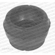 ������� ����� ������������, ��� ���������� KBLF41082 ����