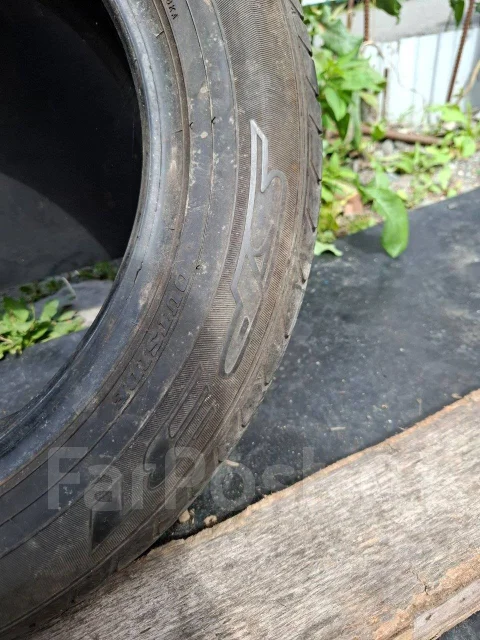 Dunlop SP 31. �����������, �/�, ����� 25 % ����