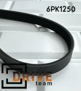 ������ ���������� 1073006900 6PK1250 Geely 1073006900 ����