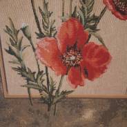 ����������� ������� "����" 50�70 ��. ����. ����