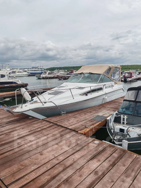 Searay. ����� 9��., ��������� ���������, 300��.�., ������ ����