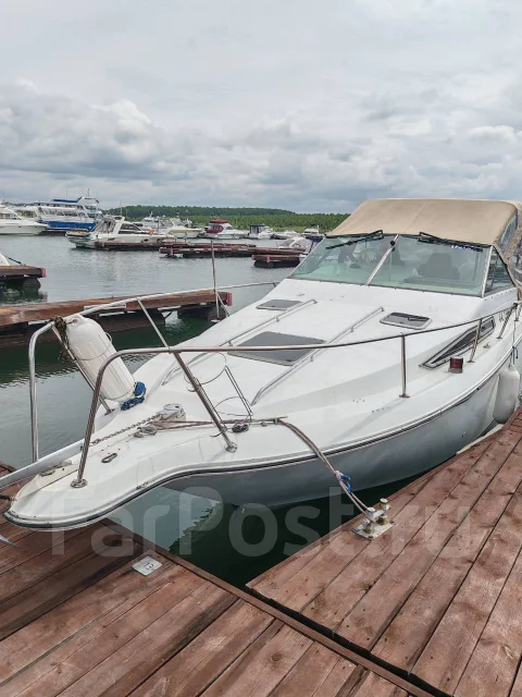 Searay. ����� 9��., ��������� ���������, 300��.�., ������ ����