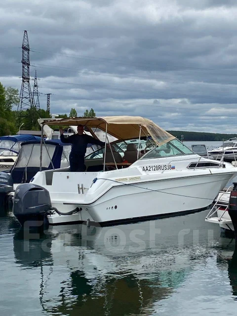 Searay. ����� 9��., ��������� ���������, 300��.�., ������ ����