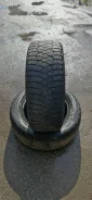 Avatyre Freeze. ������, ����������, 2019 ���, �/�, ����� 15 % ����
