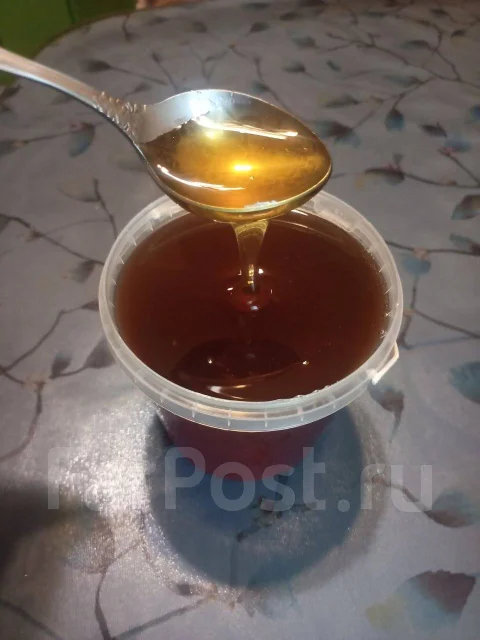 ���. ����� ������ �� 31 ������� ����