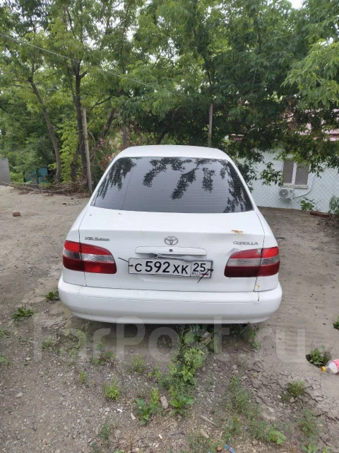 Toyota Corolla. �������, 4wd, 1.6 (110��.�.), ������ ����