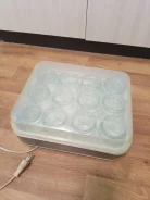 ����������. ����