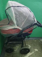 ������ ������� ����
