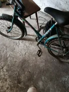 Borgki ����