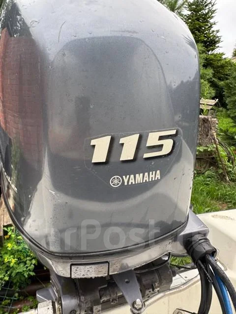 Gayar-181. 2019 ���, ����� 5,5��., ��������� ���������, 115��.�., ������ ����