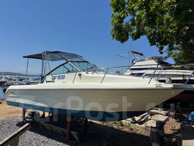 Searay. 1989 ���, ����� 6,5��., ��������� ���������, 250��.�., ������ ����