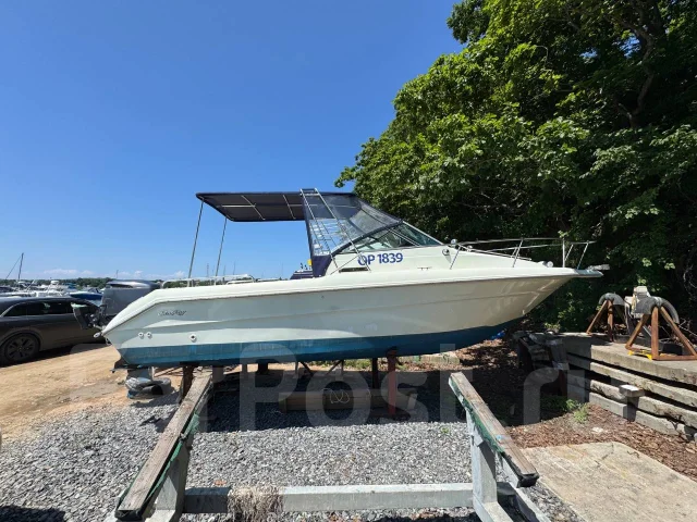 Searay. 1989 ���, ����� 6,5��., ��������� ���������, 250��.�., ������ ����