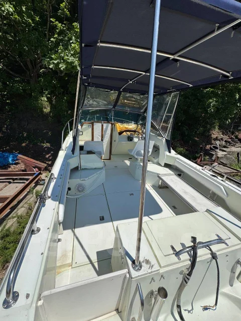 Searay. 1989 ���, ����� 6,5��., ��������� ���������, 250��.�., ������ ����