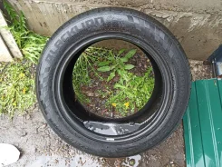 Blacklion BU66 Champoint. ������, 2019 ���, �/�, ����� 30 % ����
