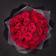 ����. ����