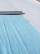 ������ ���������� ������. ����