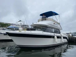 Carver. 2003 ���, ����� 9��., ��������� ������������, 300��.�., ������ ����