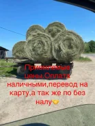 ����. ����