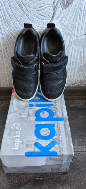 �����. 33 ����