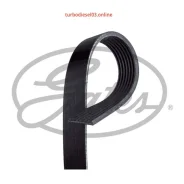 ������ ������������ XF Gates 7PK1140 7PK1140 ����