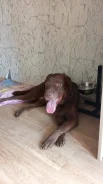 �������� ��������. ����
