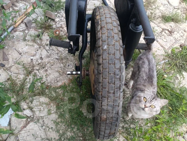 �� ������ ����
