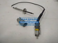 ������ ����������� ��������� ����� ��� ��� ��� ��� Cojali 2260399 2260399 ����