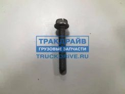 ���� M8X50 ��������� ��������-������ ���� TRP 1313119 1313119 ����