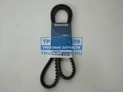 ������ �������� �������� ��� ��� �������� 13*1375 �� Dayco 13A1375C 13A1375C ����