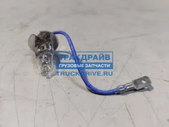 ����� ������� Xenite H3 24V PK22s Standard Xenite 1007063 1007063 ����