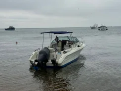 Searay. 1989 ���, ����� 6,5��., ��������� ���������, 250��.�., ������ ����