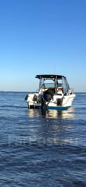 Searay. 1989 ���, ����� 6,5��., ��������� ���������, 250��.�., ������ ����
