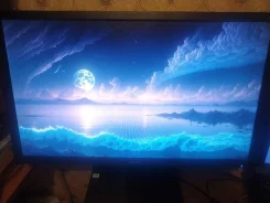 Acer. 24" ����