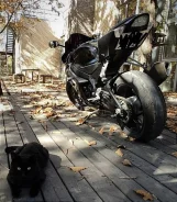 Suzuki GSX-R 1000. 1 000����. ��., ��������, ���������, ������ �� �� ����