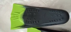 �����. ����