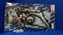 ����������� ��������� 10105AA290 10105AA660 EJ201 EJ202 Eristic EF7171V1 EF7171V1 ����