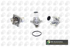 ��������� ct5596 BG Automotive CT5596 ����