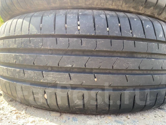 Windforce Catchfors. ������, 2025 ���, �/�, ����� 5 % ����