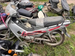 Motolife Alpha. 49����. ��., ��� ��� ����