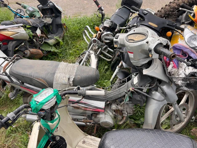 Motolife Alpha. 49����. ��., ��� ��� ����